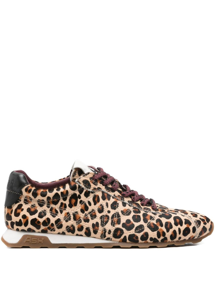 Ash Sneakers KASAR Leopard