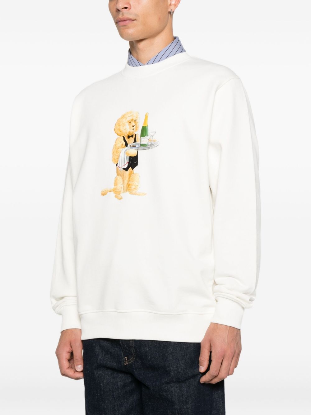 Drôle De Monsieur Felpa Le Barboncino