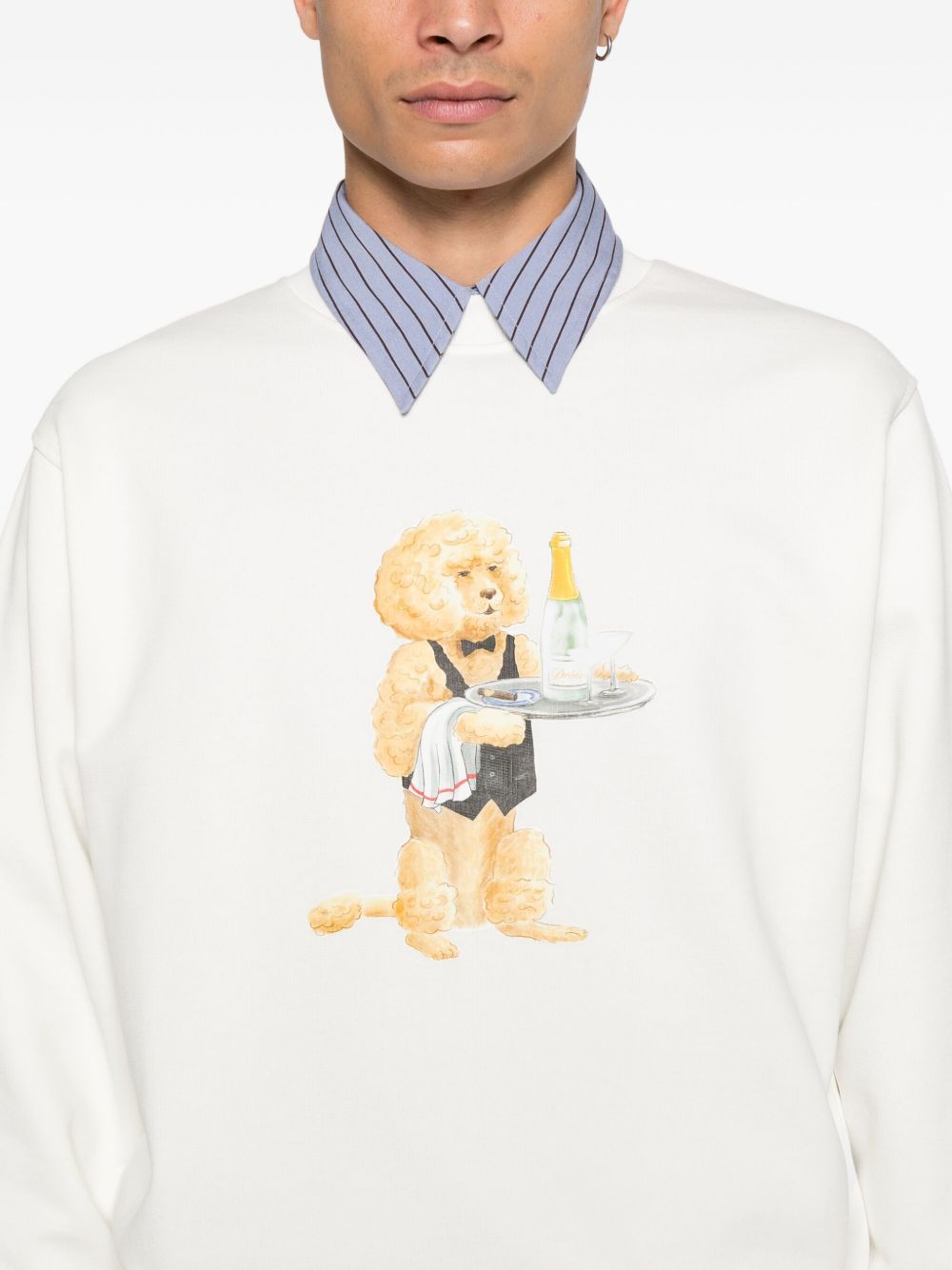 Drôle De Monsieur Felpa Le Barboncino