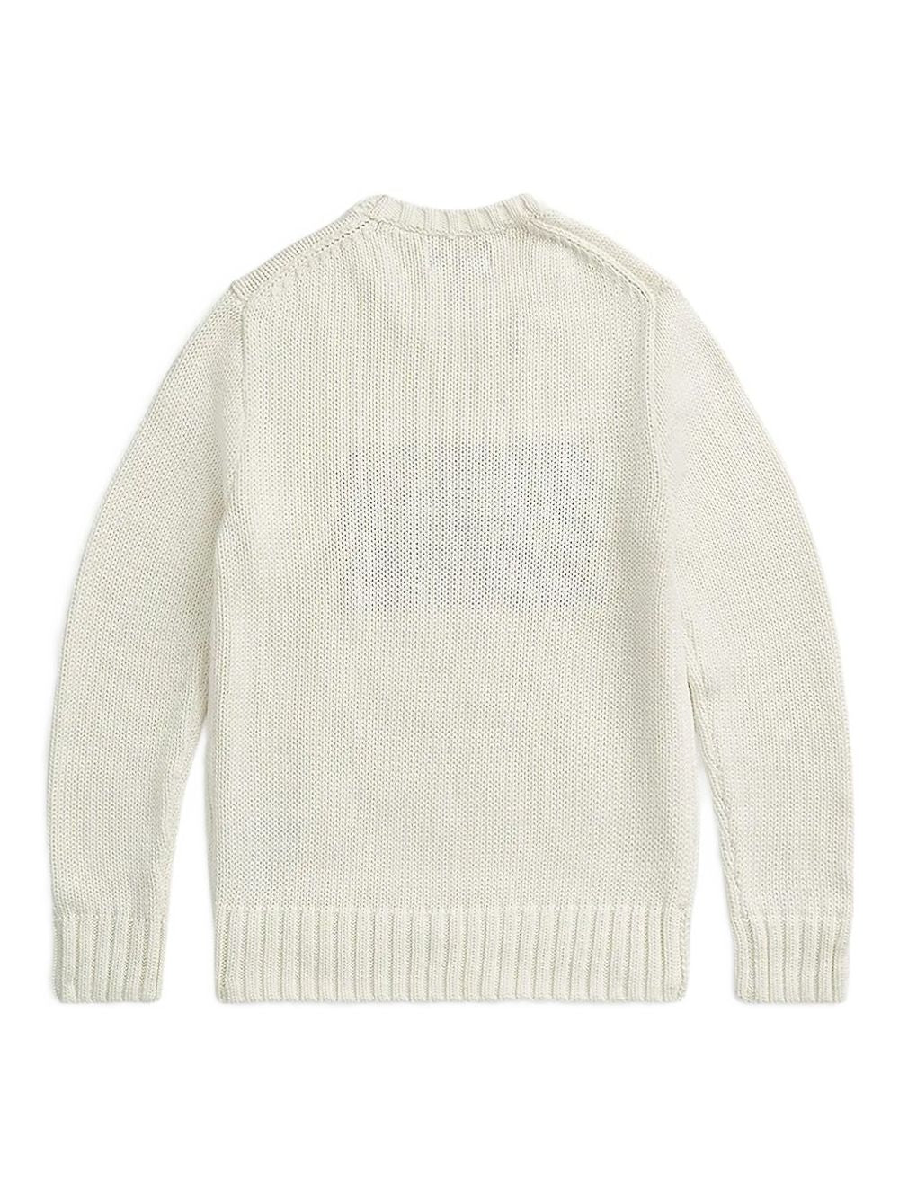 Polo Ralph Lauren
Maglione girocollo in maglia di cotone