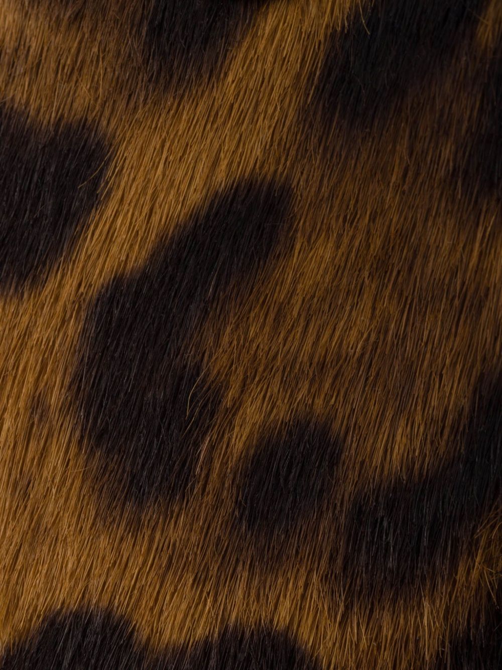 Prada Ballerina marrone